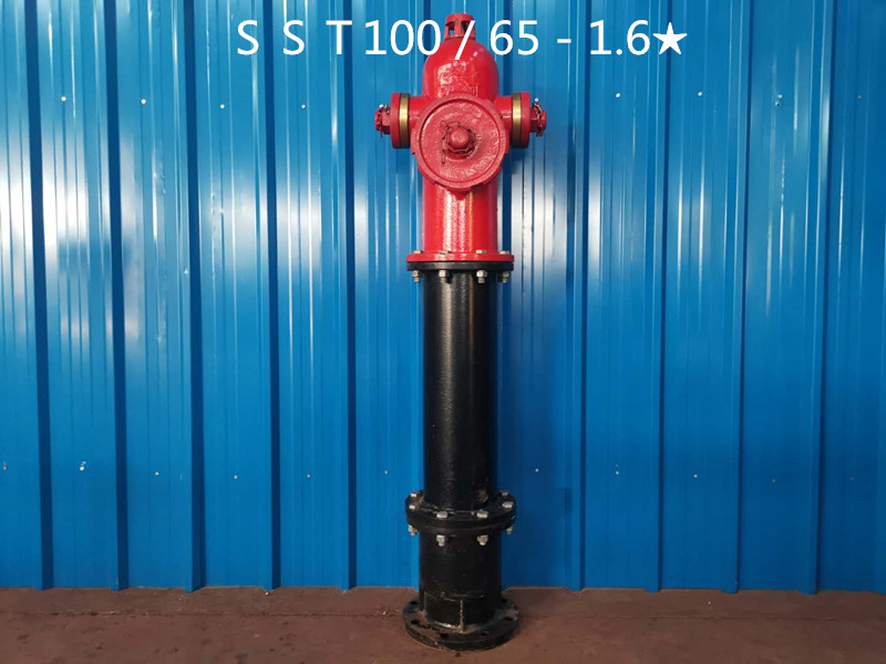 SS�?0065�?.6.jpg SS�?0065�?.6.jpg